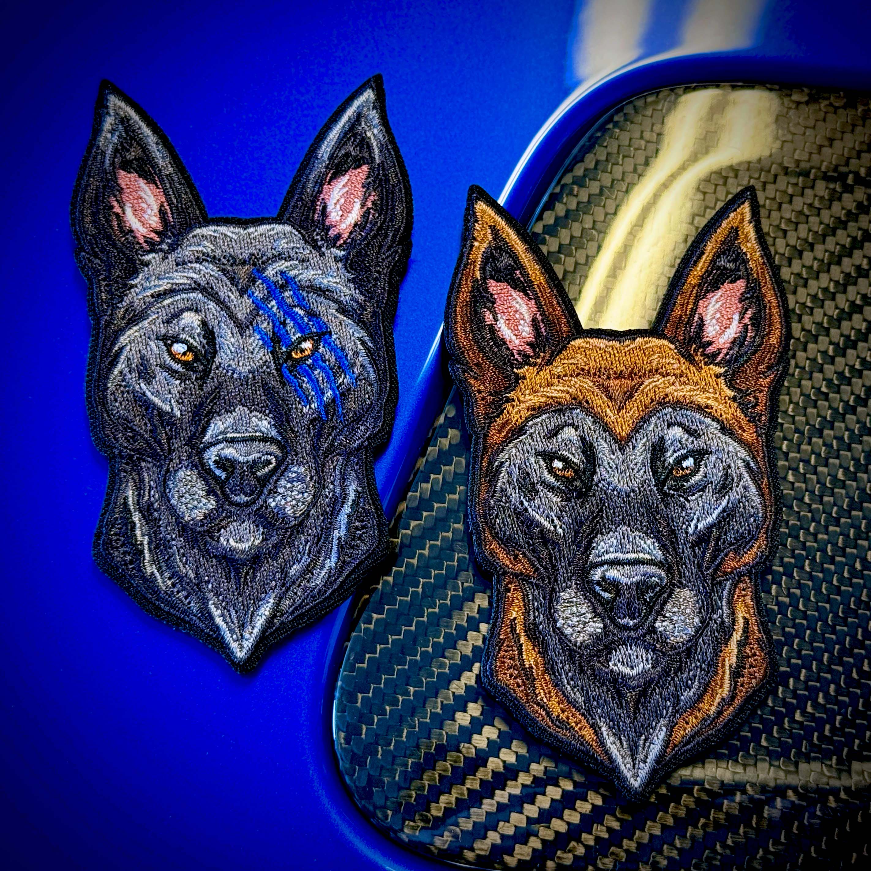 K9 Warriors