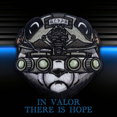 Valor
