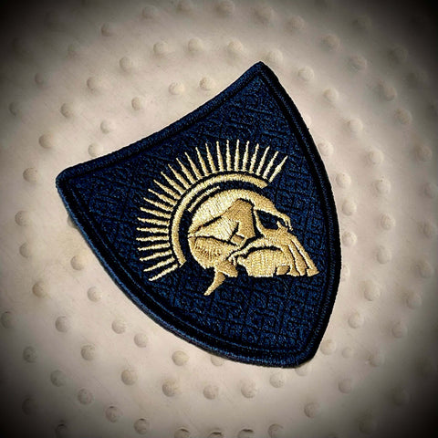 Bronze Spartan Pin