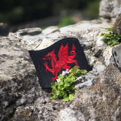The Red Dragon